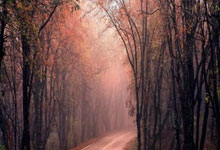 全职妈妈离婚获2万元经济补偿，JRs觉得补偿是否合理？26050.