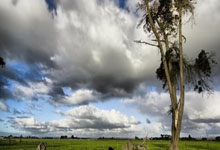 虎扑体育：每体：克里斯滕森赛季末将获上场时间，作为中卫或后腰的轮换.