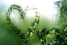 [NBA]凯尔登送出助攻 索汉上篮稳稳打进.