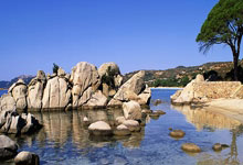 中国首位！赵丹夺得钢架雪车世界杯延庆站冠军人民日报客户端.